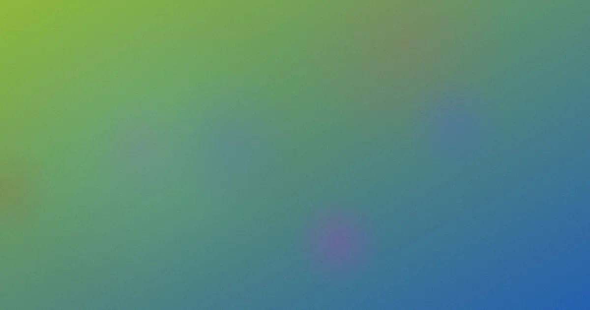 网中鱼动漫是什么？一文讲清
